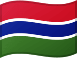 Flag of The Gambia