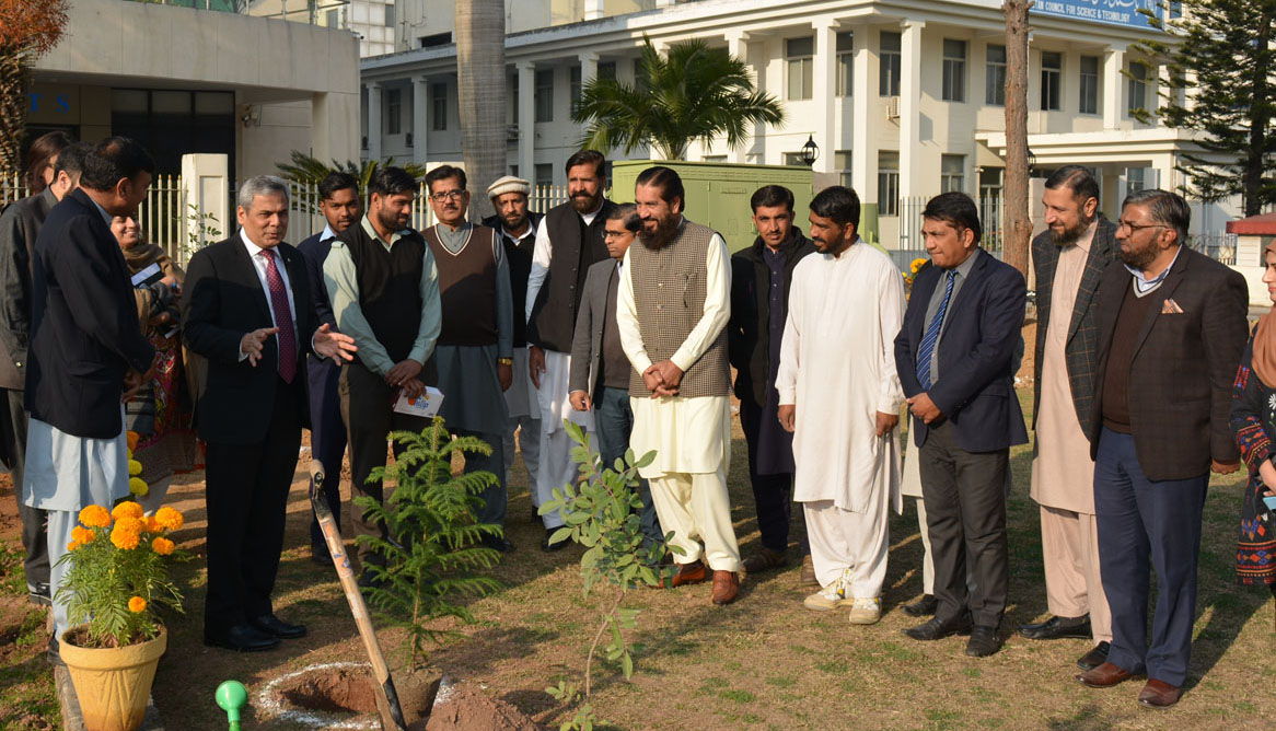 Tree Plantation at COMSATS Secretariat